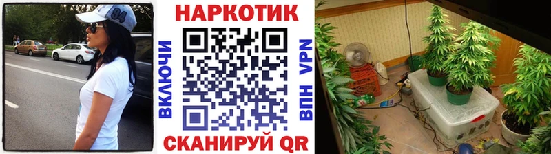 Цена Талдом Кокаин  Меф мяу мяу  Псилоцибиновые грибы  ГАШИШ  Alpha PVP  АМФЕТАМИН 