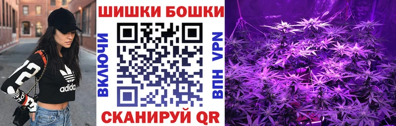 Бошки Шишки VHQ Талдом
